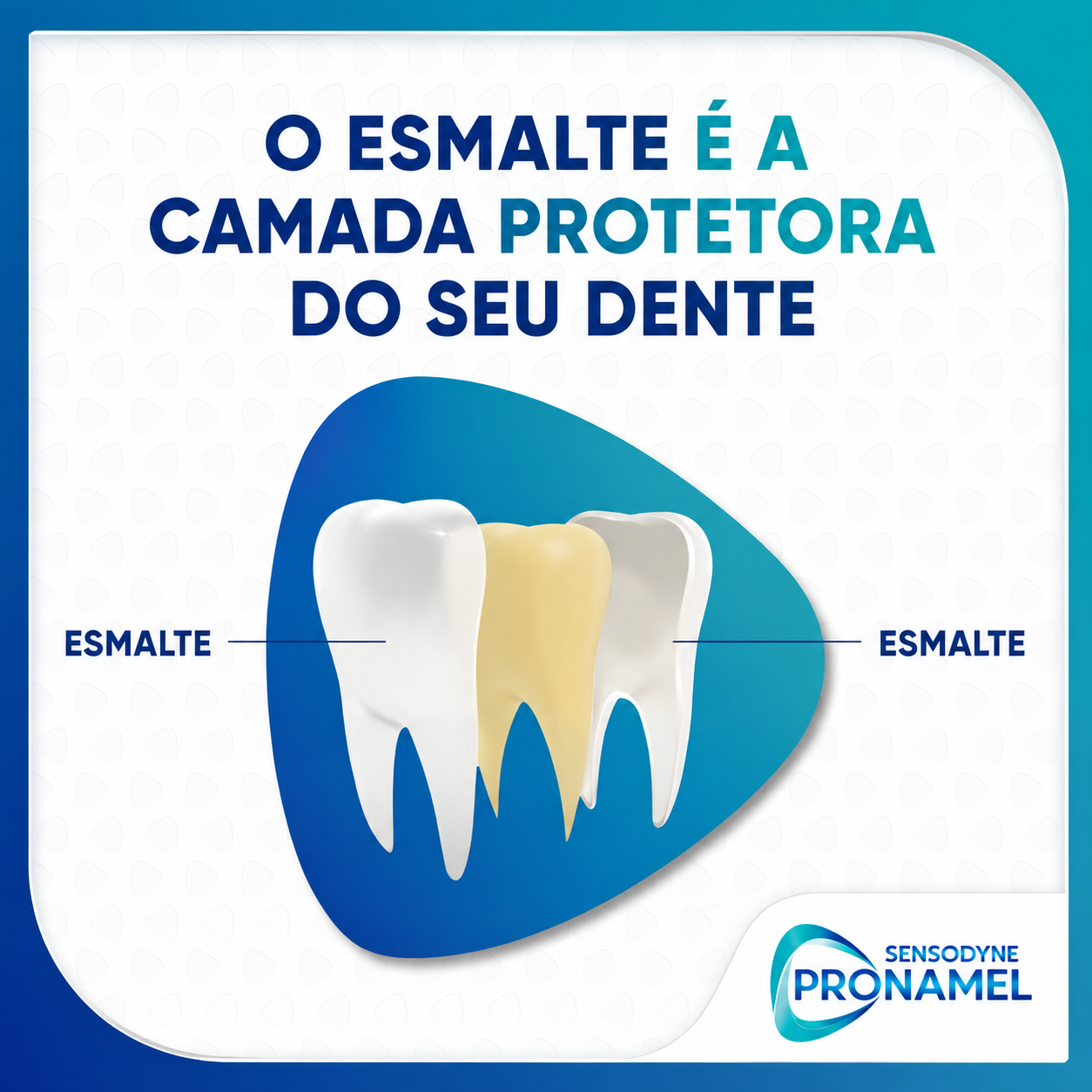 O esmalte é a camada protetora do dente